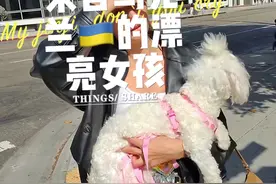 街头搭讪来自乌克兰🇺🇦的漂亮女孩#国外视频分享 #英语口语 #外国女孩 #国外生活视频封面