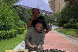 晒芝麻叶的教程来了，这样晒的好保存，见水就滂，一煮就烂#家乡的味道 #记录真实生活 #纯天然无添加 #芝麻叶#真材实料才能做出好味道