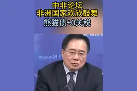 #热点新闻事件 #中非论坛2024峰会 #中非关系 #国际形势分析 #中非合作论坛峰会视频封面