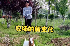 在坚持有机农法以后，整个环境真的都在变好！还是很欣慰，这几年的坚持都是有意义的。#自己种的纯天然的绿色蔬菜 #关注我一起学种菜 #新农人计划2024农村生活 #萌宠出道计划 #惬意的农村生活视频封面