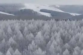 零下20度开着阿维塔07勇闯内蒙！这个旅程很完美～视频封面