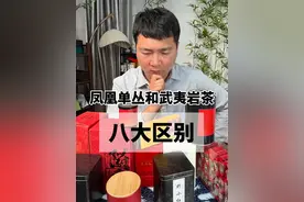 凤凰单丛和武夷岩茶的8大区别 #喝茶那点事 #武夷岩茶#凤凰单丛 #茶知识 #茶知识了解一下视频封面