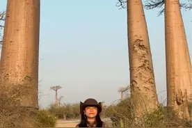 马达加斯加猴面包树，一生必去的地方之一，小王子的B612星球 #马达加斯加 #猴面包树 #旅行vlog #贝塔去旅行视频封面