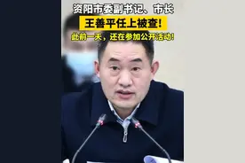 资阳市委副书记、市长王善平任上被查!此前一天,还在参加公开活动!#违纪违法视频封面