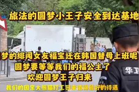 法国总统夫人亲自送别的圆梦小王子安全到家，回来找媳妇了视频封面