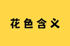 不同颜色玫瑰的花语 #情侣 #冷知识视频封面