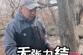 户外救援如何固定绳索 #户外 #救援 #绳结技巧 #实用绳结 #徒步登山视频封面
