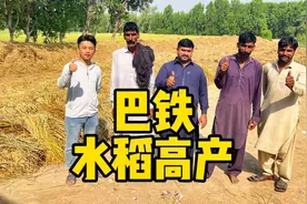 中国杂交水稻走进巴基斯坦