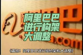 惊！！阿里巴巴进行组织构架大调整视频封面