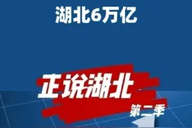 湖北六万亿！剑指河南四川。#湖北 #省份gdp排名 #大v说 #湖北dou知道视频封面