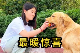 母爱如水，温柔而坚定。 母亲节每个妈妈都值得被宠爱！（你送妈妈礼物了吗？） 原来笨笨偷偷学了人类的浪漫。母亲节这天，笨笨悄悄捡瓶子是为了给妈妈个惊喜！…爱从不分物种，温暖总在细节里。#母亲节给妈妈的惊喜小礼物 #被狗狗治愈的瞬间 #母亲节跟妈妈说声我爱你 #小狗能有多懂事 #高能量萌宠一天的打开方式