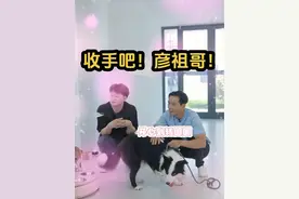 收手吧阿祖！外面全是王小怪！#万物可爱计划 #完美祖合