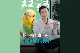我们家上班下班完全不听我的指挥~ 最后拍出来的壁纸效果太可爱了，大家也拍拍自己家的萌宠试试？#我家毛孩子申请出战 #好物推荐🔥