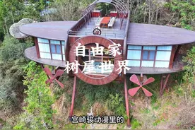 原来宫崎骏动漫里的飞机树屋真的存在，假期不知道去哪玩的