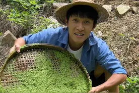 浮萍煎蛋你吃过吗？小时候经常吃可香了！ （可食用浮萍，专业处理，请勿模仿）视频封面