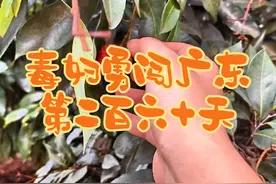 #vlog日常 #差点忘了以前是干嘛的 #女大学生 #内容过于真实