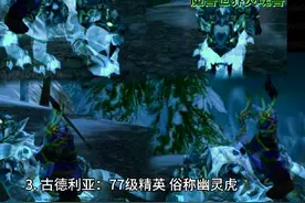 魔兽世界猎人必抓灵魂兽你知道几个？#魔兽世界 #艾泽拉斯的秘密