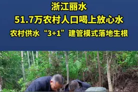 浙江丽水51.7万农村人口喝上放心水，农村供水“3+1”建管模式落地生根视频封面