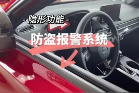车辆落锁后仪表盘一直闪烁小红灯，是故障吗？视频封面