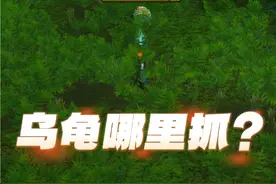 太多人问我乌龟哪里抓的了，今天又去抓了一个，不得不说 真是很能扛的宠物，不管是AOE还是单刷BOSS 小乌龟完胜！#魔兽世界 #我们比你们多一个世界 #魔兽世界猎人  #灵魂兽 #魔兽世界新手攻略