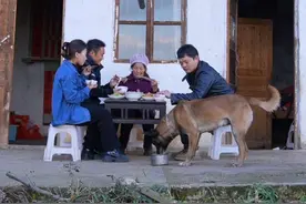 这巴图真的可爱总会有自己的想法，做自己喜欢的事#我的乡村生活 #新农人计划2023 #农村生活