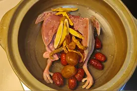 炖鸽子汤！#鸽子汤 #鸽子汤补气血 #滋补养生 #美食 #跟着抖音学做菜