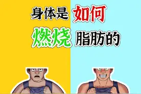 身体是如何燃烧脂肪的？#健身 #减脂视频封面