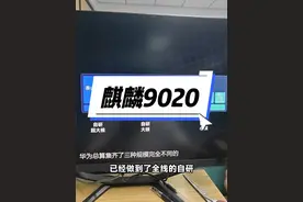 麒麟芯片9020，这次连处理器的小核心都是自研的泰山架构。#华为手机 #麒麟芯片