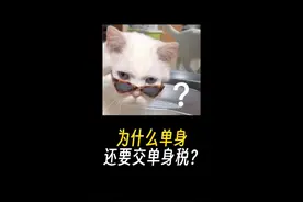 单身居然要交税！！#省流侠 #科普一下 #冷知识 #涨知识视频封面