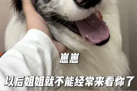 《邻居家会按电梯遛自己的边牧》找领养后续…🙏这两天在忙着搬家，今晚过来和崽崽告别了…#边牧 #边牧按电梯 #萌宠出道计划 #苏州养狗视频封面