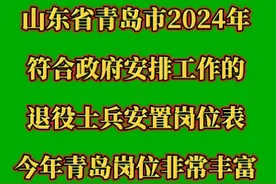 山东省青岛市2024年，选择由政府安排工作的退役士兵安置岗位表视频封面