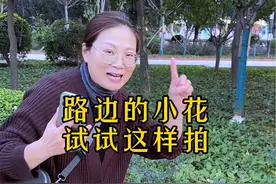 路边边小花怎么拍出惊艳的感觉，一招教会您##拍摄技巧#摄影教学#手机摄影#舞台光 #创作灵感