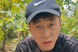 爱跑山的喜欢黑松露的看过来#黑松露 #大自然的馈赠 #东北特产 #分享家乡特产 #农村生活