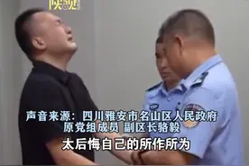 80后副区长10年网贷781万！为还债走向贪腐。视频封面