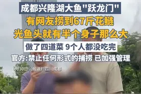 成都兴隆湖大鱼“跃龙门”，有网友捞到67斤花鲢 ，光鱼头就有半个身子那么大，做了四道菜，9个人都没吃完。官方：禁止任何形式的捕捞，已加强管理