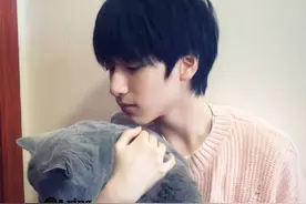 猫狗双赢_视频封面