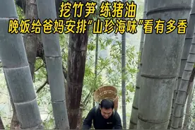 一个人上山挖竹笋看能有多少收获 @陈饭很忙 晚饭回家把猪油炸了还做了两条带鱼，简简单单和爸妈一起吃饭#我的乡村生活 #新农人计划2025 #尝一口春天的味道 #挖竹笋 #给爸妈做饭视频封面