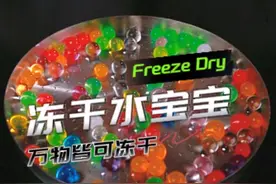 冻干水宝宝，证明冻干和烘干，晒干，阴干都不一样！#冻干 #冻干技术 #冻干机视频封面