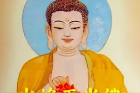 华光的第三位师父——火炎五光佛 #南游记 #火炎五光佛视频封面