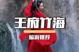 如果你来洛阳，那要去看看既能避暑又拍照贼出片的王府竹海视频封面
