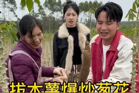 广西人的农村生活 我们这边的木薯可以拿来煲糖水也可以拿来爆炒葱花，真的很多人都喜欢吃，真的是从小吃到大，一年才一季木薯，你们这样吃过吗，真的太美味了😋#我的乡村生活 #三农 #农村美食视频封面