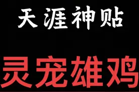 公鸡是阳气至盛之物，能护主辟邪！#天涯神贴 #道家文化 #灵宠
