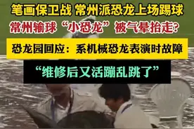 常州输球“小恐龙”被气晕抬走？（上游新闻）