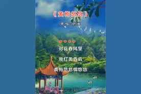 《黄梅悠悠》 原唱/斯兰#老歌回顾 #百听不厌 #音乐分享