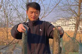 快过年了，是不是都要抽水逮鱼了？那你们可知道（鱼头有火）是什么意思？#曾经是心心念念随随便便深深浅浅 #乡愁记忆 #农村生活 #下水捉鱼 #是鸭还是鹅视频封面