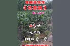 豫剧苦情戏曲《花喜鹊》！感人肺腑，催人泪下！天怜天下父母心！🙏🙏#爱戏曲爱抖音