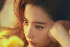 十七中视频封面