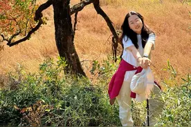 宏村塔川10公里徒步攻略，皖南深秋太美了 #徒步 #宏村 #江浙沪周边游 #秋天