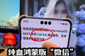 华为纯血鸿蒙版“微信”将接入CallKit ？ #华为 #callkit #数码科技 #harmonyosnext #鸿蒙next视频封面