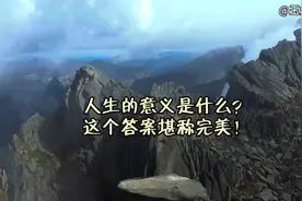 人生的意义是什么？这个答案堪称完美！